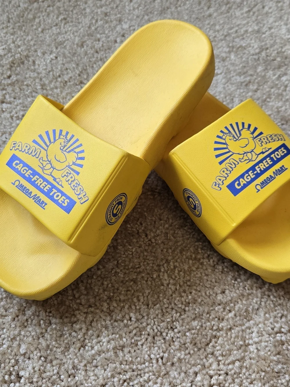 MEOW WOLF- OMEGA MART Farm Fresh Cage Free Toes Yellow Egg Carton Slides Sz. 7.5